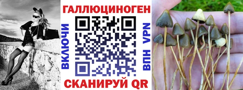 Псилоцибиновые грибы GOLDEN TEACHER  наркота  Абаза 